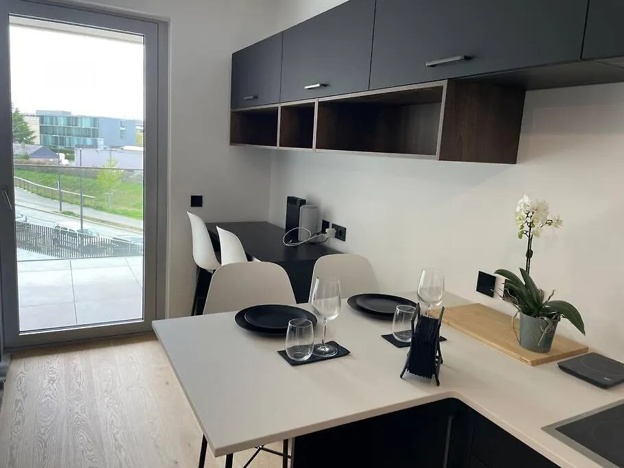 Apartmán Luxury 2023 Flat In Center With Terrace & Parking- Cd4 Lucembursko Lucembursko